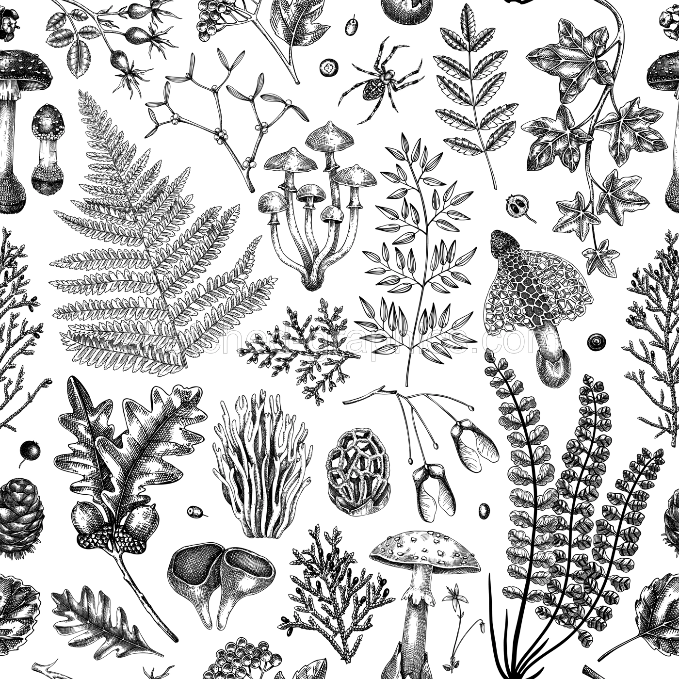 Vector seamless pattern with fern leaf, mushrooms, fall leaves and autumn plant sketches. Monochrome botanical repeating texture. Hand drawn autumn forest background. Vintage nature design for print Illustration